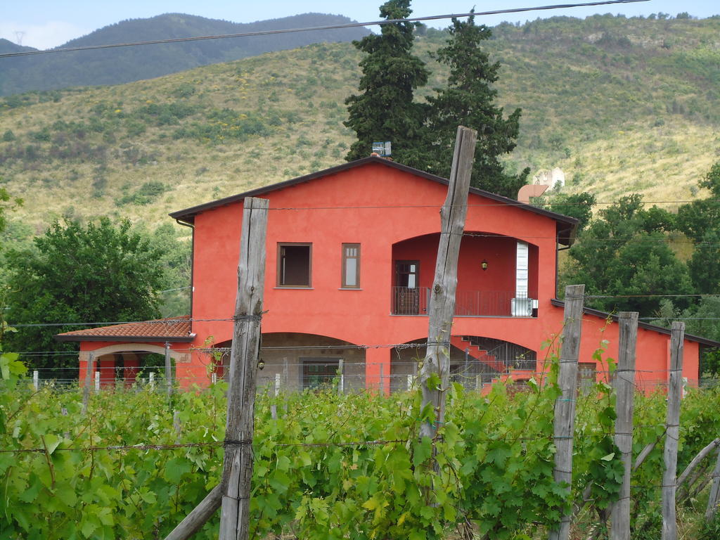 Agrituirsmo Masseria Campierti Falciano del Massico Exterior foto